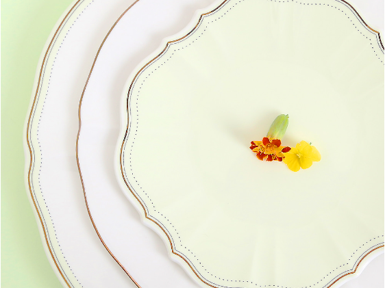 [Neo Mint] 22-Piece Home Set, Serving for 4