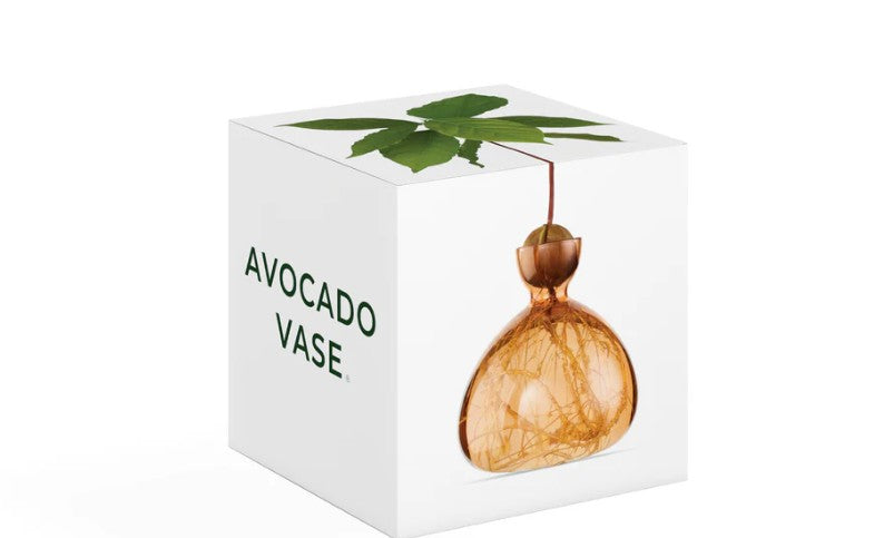 Ilex Studio (Avocado Vase)