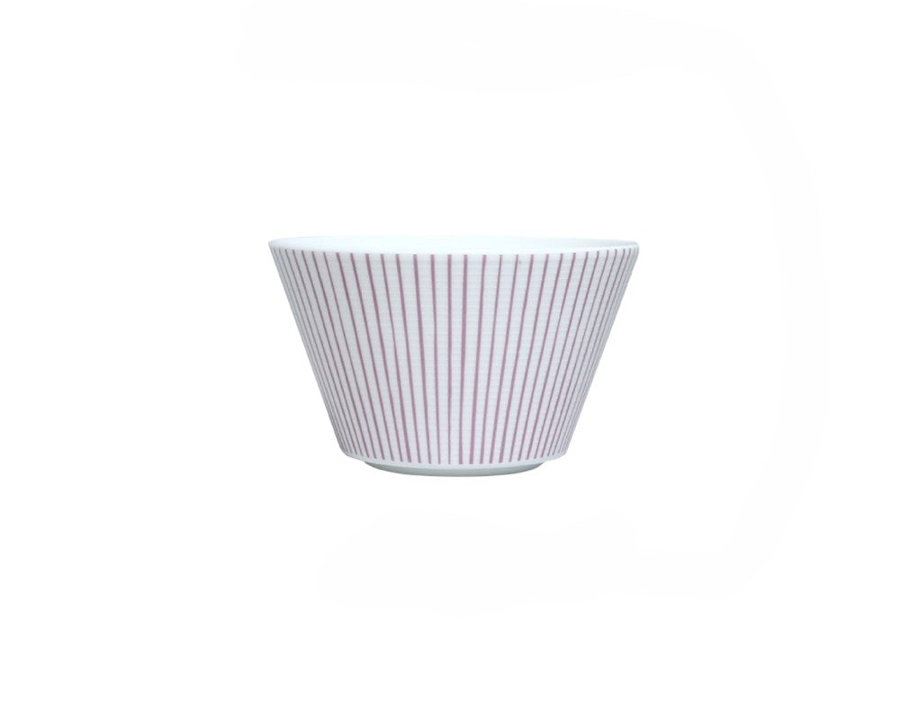 Cozy Pink 21-Piece Dinnerware Set