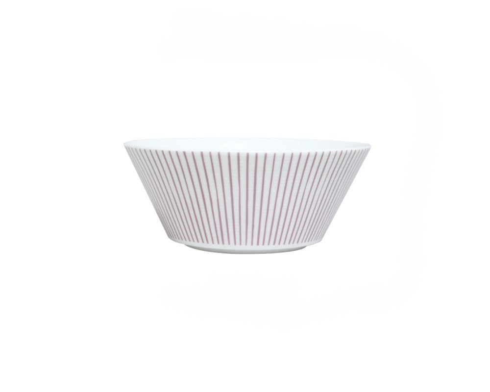 Cozy Pink 21-Piece Dinnerware Set